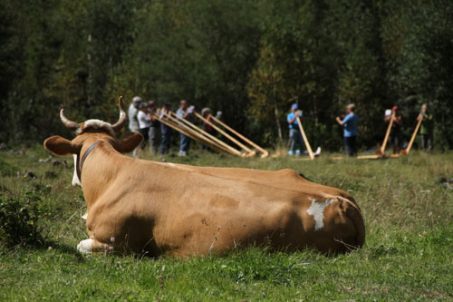 Alphorn